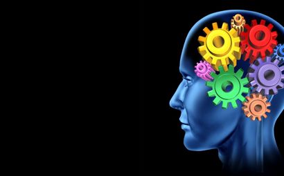 Human head brain function with cogs